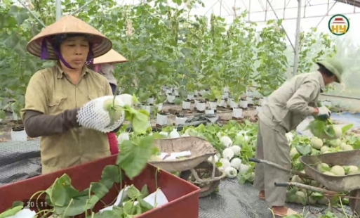 Tỉnh Hưng Yên có 2 sản phẩm đạt giải Mai An Tiêm