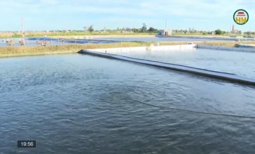 Ứng dụng khoa học công nghệ vào nuôi thuỷ sản