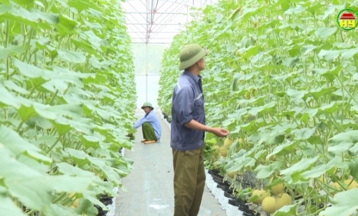 Nông nghiệp công nghệ cao tạo đà thay đổi tư duy sản xuất