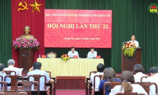 Hội nghị Ban chấp hành Đảng bộ tỉnh lần thứ 22