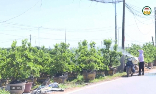 Lao động vất vả mùa nắng nóng