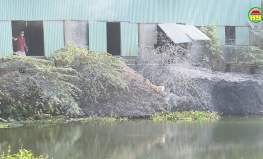 Cần di dời cơ sở sản xuất thạch cao gây ô nhiễm môi trường