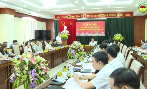 Văn Lâm cần chuyển dịch sang phát triển đô thị, dịch vụ