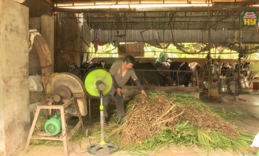 Người chăn nuôi ở xã Hùng An mong muốn sớm có khu chăn nuôi tập trung
