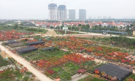 Hình thành các vùng chuyên canh sau sắp xếp xã