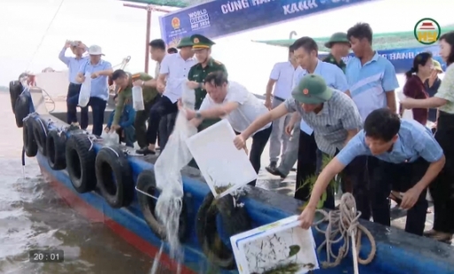 Hưởng ứng Ngày Đại dương thế giới 