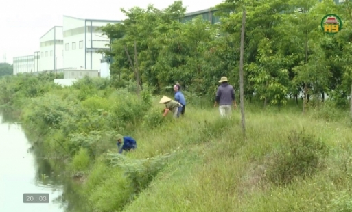 Phòng chống úng ngập cho khu công nghiệp
