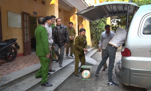 Bắt giữ, tiêu hủy gần 700kg bì lợn không rõ nguồn gốc tại Văn Lâm