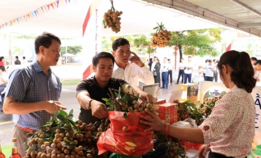 Lễ hội nhãn lồng tỉnh Hưng Yên năm 2020 diễn ra từ 31/7/2020