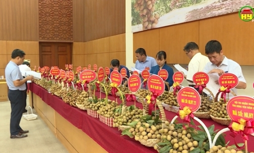 Nhiều giải pháp tiêu thụ nhãn trong mùa dịch