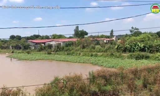 Xã Đào Dương có 5 vi phạm nghiêm trọng trên đất nông nghiệp