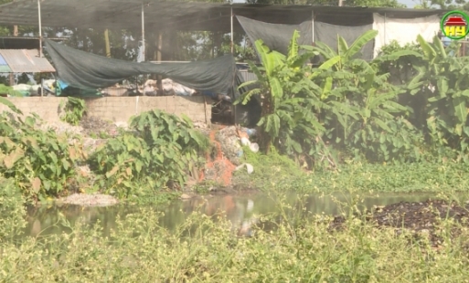 Xử phạt 17 doanh nghiệp vi phạm môi trường