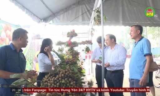Làm gì để đẩy mạnh tiêu thụ nhãn quả