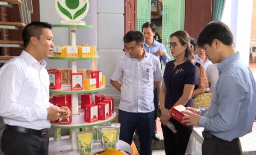 Thẩm định hồ sơ, đề nghị công nhận huyện Khoái Châu đạt chuẩn NTM