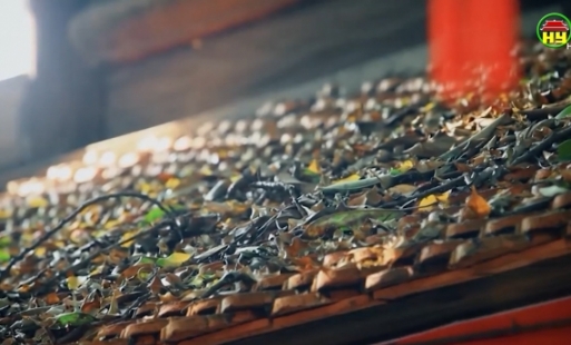 Số hoá dữ liệu để bảo tồn di tích