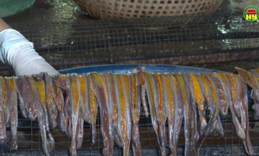 Cần ngăn chặn hoạt động sử dụng kích điện đánh bắt giun đất 