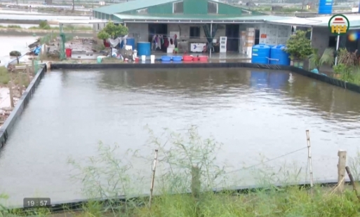 Bảo vệ vùng nuôi thủy sản 