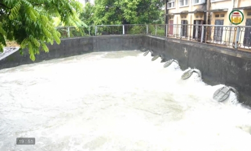 Chủ động ứng phó bão số 4