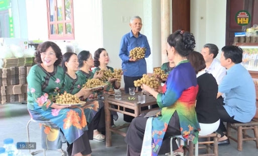 Trải nghiệm mùa nhãn chín 