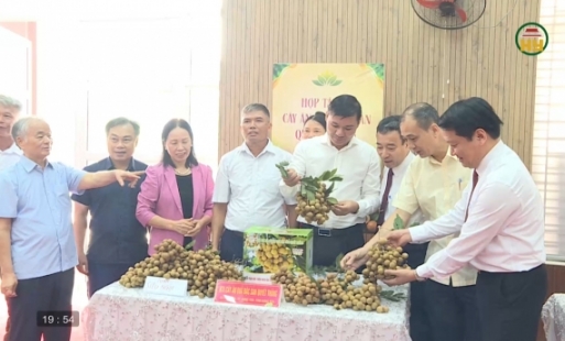Xúc tiến thương mại tiêu thụ nhãn và các sản phẩm truyền thống 