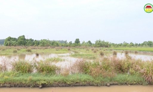 Kinh nghiệm quản lý đất nông nghiệp ở xã Hưng Long