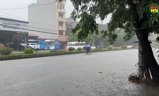 Mưa kéo dài ảnh hưởng cây ăn quả và hoa màu 