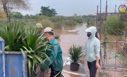 Các địa phương tỉnh Hưng Yên tập trung khắc phục thiệt hại do ngập úng