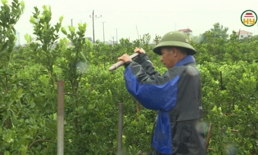 Huyện Văn Giang ứng phó với bão số 3