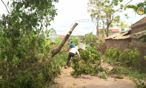 Người dân các huyện Văn Giang, Khoái Châu, Kim Động tích cực khắc phục sau bão