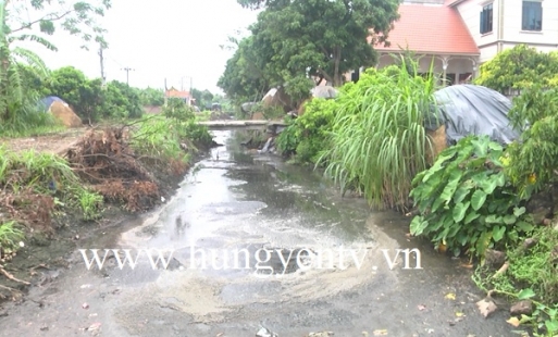 Thành phố Hưng Yên: Ô nhiễm môi trường do nước thải chăn nuôi ở xã Phú Cường