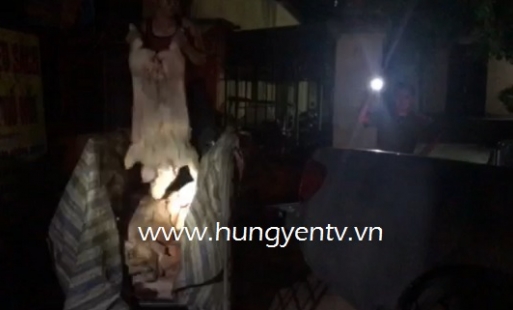 Hưng Yên: Bắt vụ vận chuyển hơn 500kg lợn chết mang đi tiêu thụ