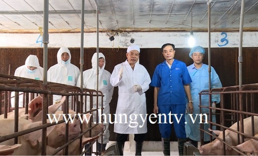 Bộ trưởng Bộ NN&PTNT làm việc với tỉnh Hưng Yên về phòng chống bệnh Dịch tả lợn châu Phi