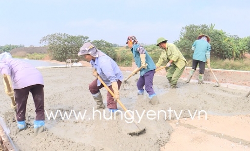 Được mùa chuối, làng đảo Vân Nghệ hồ hởi đón tết