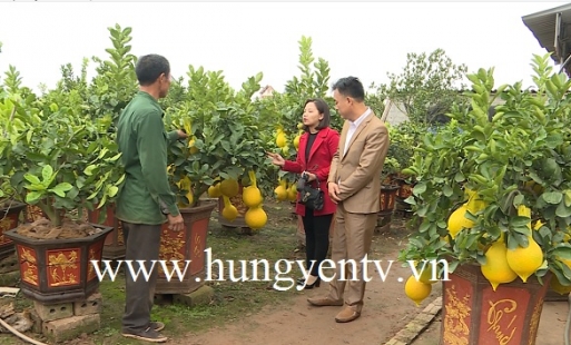 Gặp gỡ những triệu phú, tỷ phú nông dân tuổi Tý ở Hưng Yên