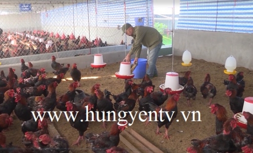 Hưng Yên chú trọng phát triển sản phẩm OCOP