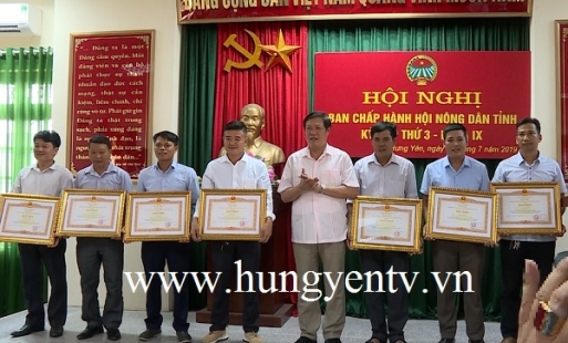 Tạo điều kiện cho nông dân Hưng Yên thành lập tổ chức kinh tế tập thể