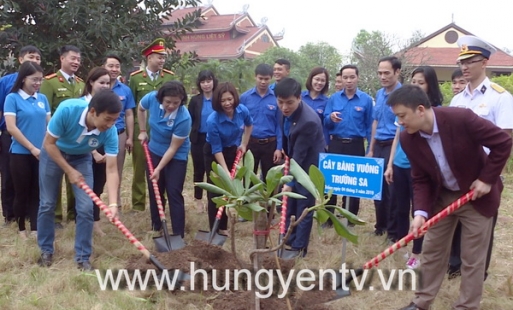 Trồng cây bàng vuông Trường Sa tại Văn Giang