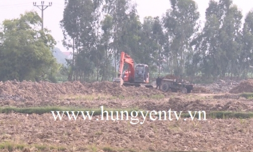 Tình trạng lấy trộm đất mặt ruộng tại thôn Ninh Đạo, xã Tân Phúc