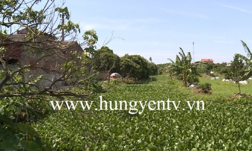 Phù Cừ còn tồn tại nhiều vi phạm công trình thủy lợi