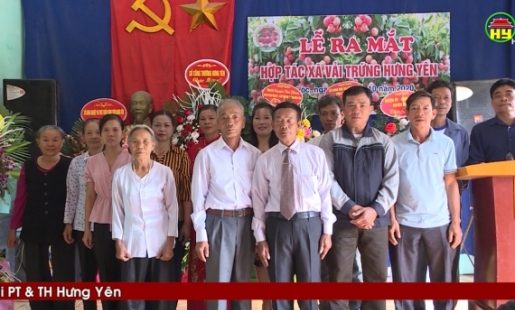 Ra mắt HTX vải trứng Hưng Yên thôn Bình Nguyên