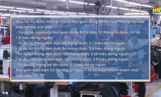 Gần 200 nghìn người được giảm đóng bảo hiểm thất nghiệp