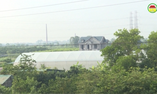 HTX chăn nuôi dịch vụ an toàn Siêu Việt tự ý chuyển mục đích sử dụng đất nông nghiệp