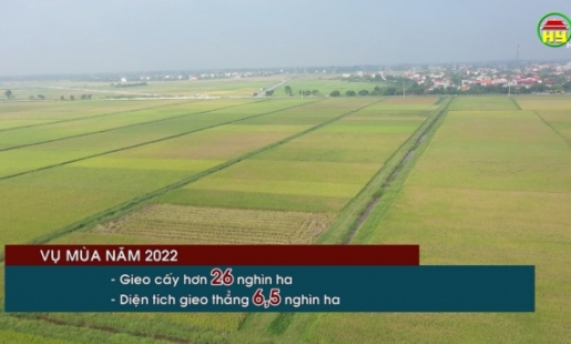 Năng suất lúa mùa đạt cao	