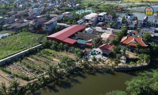 Cần sớm tiêu hủy lô chân gà đông lạnh gây ô nhiễm môi trường