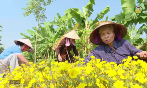 Đưa nghị quyết của Đảng vào cuộc sống 