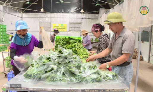 Kết nối thị trường tiêu thụ nông sản