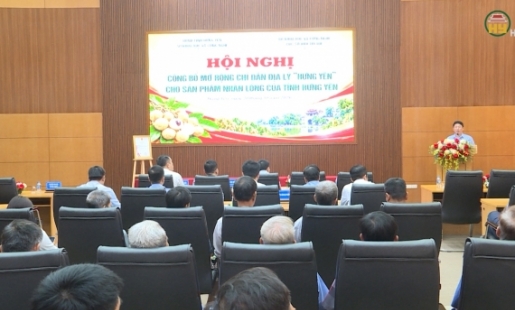 Mở rộng chỉ dẫn địa lý sản phẩm nhãn lồng Hưng Yên
