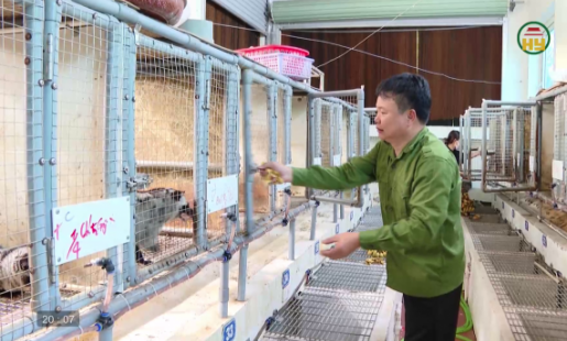Nông dân Việt Nam xuất sắc tỉnh Hưng Yên