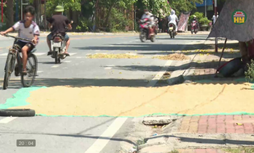Tái diễn tình trạng phơi thóc ảnh hưởng đến ATGT