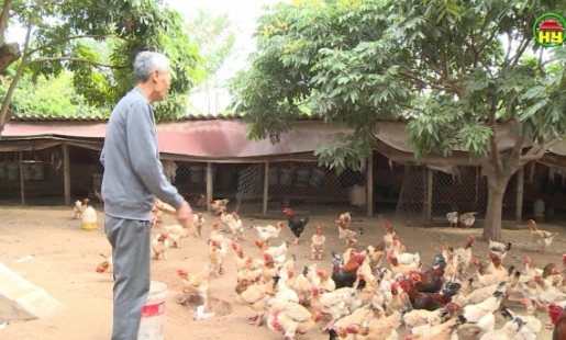Khoái Châu thực hiện hiệu quả đề án chuyển đổi,  tái cơ cấu ngành nông nghiệp